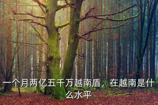 一個(gè)月兩億五千萬越南盾，在越南是什么水平