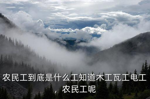 農(nóng)民工到底是什么工知道木工瓦工電工，農(nóng)民工呢