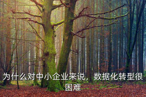 為什么對中小企業(yè)來說，數(shù)據(jù)化轉(zhuǎn)型很困難