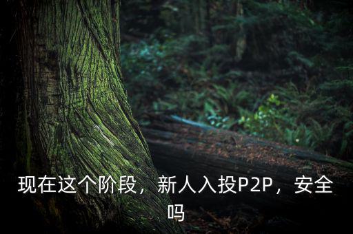 現(xiàn)在這個階段，新人入投P2P，安全嗎