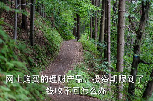 網(wǎng)上購(gòu)買(mǎi)的理財(cái)產(chǎn)品，投資期限到了，錢(qián)收不回怎么辦