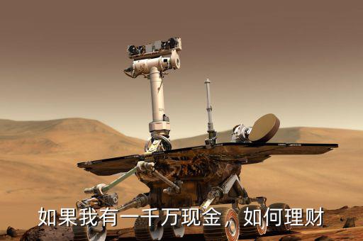如果我有一千萬現(xiàn)金，如何理財(cái)