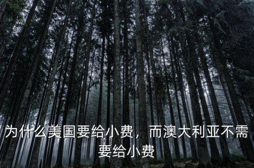 為什么美國要給小費，而澳大利亞不需要給小費