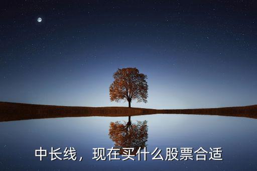 中長線，現(xiàn)在買什么股票合適