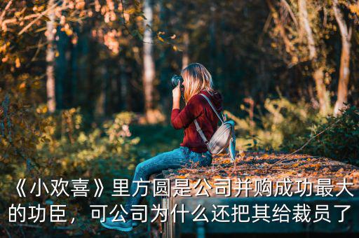 《小歡喜》里方圓是公司并購(gòu)成功最大的功臣，可公司為什么還把其給裁員了