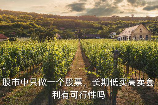 股市中只做一個股票，長期低買高賣套利有可行性嗎