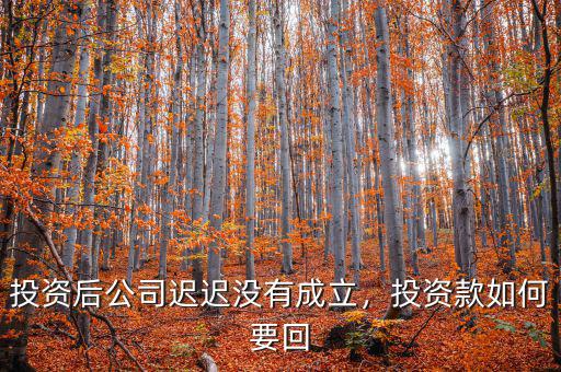 投資后公司遲遲沒(méi)有成立，投資款如何要回