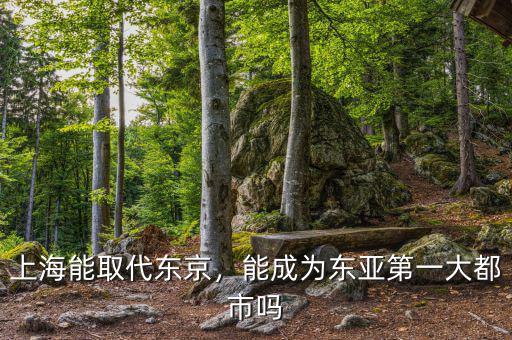 上海能取代東京，能成為東亞第一大都市嗎