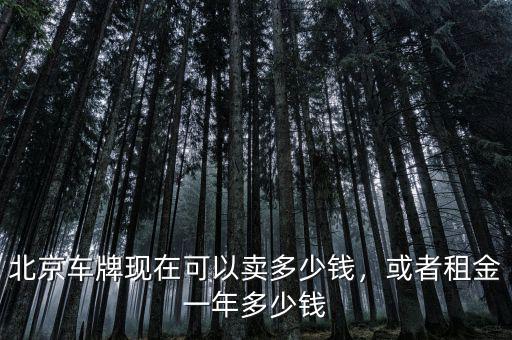 北京車(chē)牌現(xiàn)在可以賣(mài)多少錢(qián)，或者租金一年多少錢(qián)