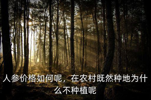 人參價(jià)格如何呢，在農(nóng)村既然種地為什么不種植呢