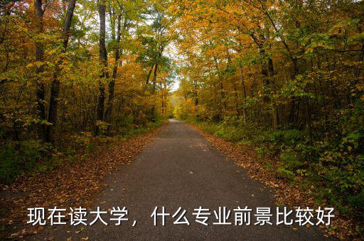現(xiàn)在讀大學(xué)，什么專業(yè)前景比較好
