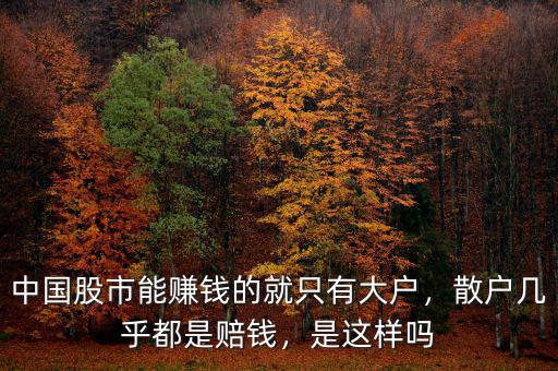 中國(guó)股市能賺錢的就只有大戶，散戶幾乎都是賠錢，是這樣嗎