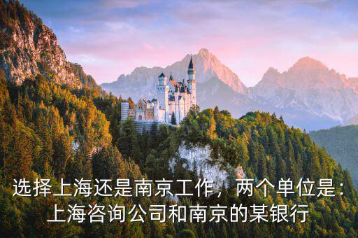 選擇上海還是南京工作，兩個單位是：上海咨詢公司和南京的某銀行