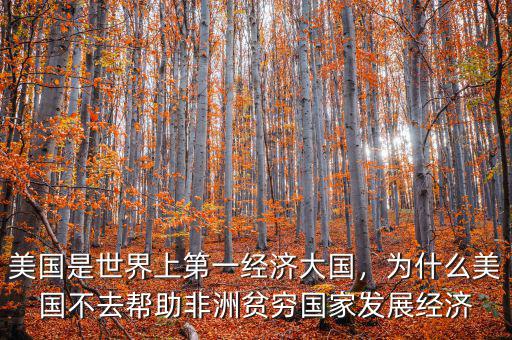 美國(guó)是世界上第一經(jīng)濟(jì)大國(guó)，為什么美國(guó)不去幫助非洲貧窮國(guó)家發(fā)展經(jīng)濟(jì)