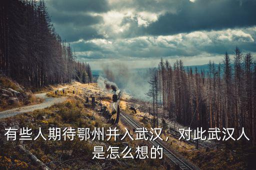 有些人期待鄂州并入武漢，對此武漢人是怎么想的