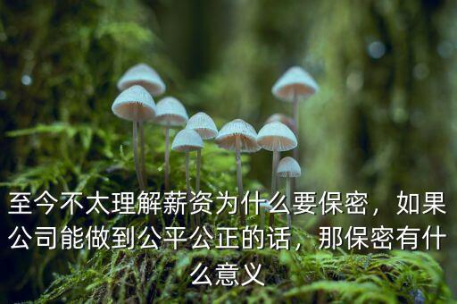 至今不太理解薪資為什么要保密，如果公司能做到公平公正的話(huà)，那保密有什么意義