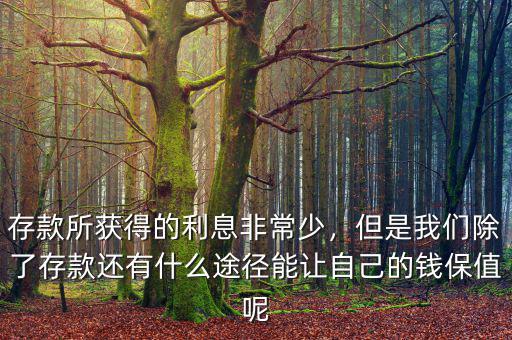 存款所獲得的利息非常少，但是我們除了存款還有什么途徑能讓自己的錢保值呢