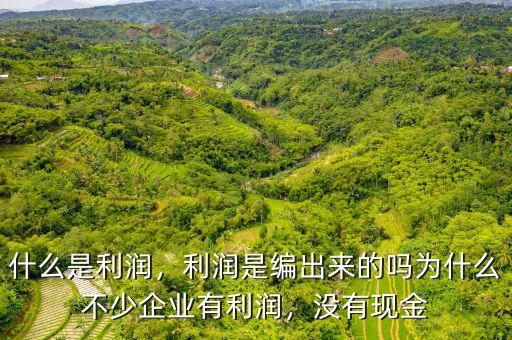 什么是利潤，利潤是編出來的嗎為什么不少企業(yè)有利潤，沒有現(xiàn)金