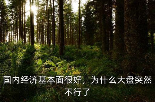 國內(nèi)經(jīng)濟(jì)基本面很好，為什么大盤突然不行了