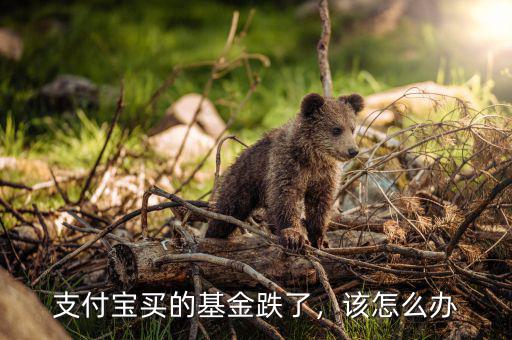 支付寶買的基金跌了，該怎么辦
