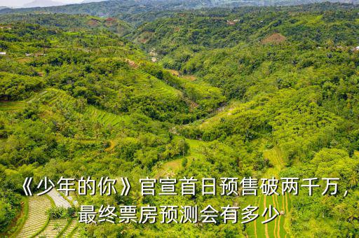 《少年的你》官宣首日預(yù)售破兩千萬，最終票房預(yù)測會有多少