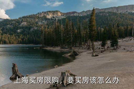 上海買(mǎi)房限購(gòu)，要買(mǎi)房該怎么辦