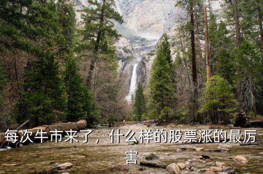 每次牛市來了，什么樣的股票漲的最厲害
