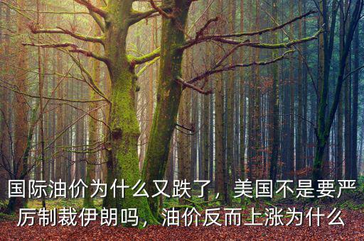 國(guó)際油價(jià)為什么又跌了，美國(guó)不是要嚴(yán)厲制裁伊朗嗎，油價(jià)反而上漲為什么
