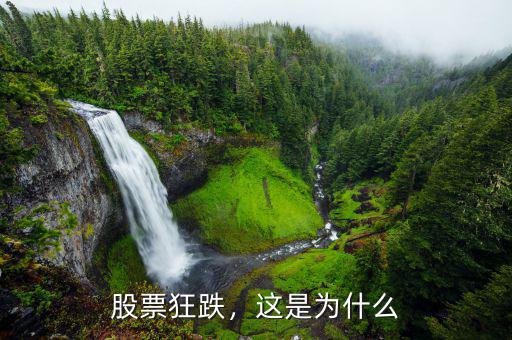 股票狂跌，這是為什么