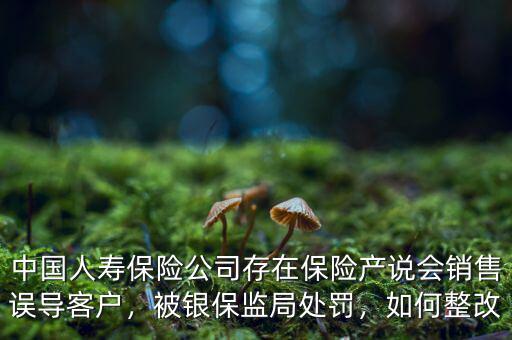 中國人壽保險公司存在保險產(chǎn)說會銷售誤導(dǎo)客戶，被銀保監(jiān)局處罰，如何整改