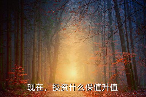 現(xiàn)在，投資什么保值升值