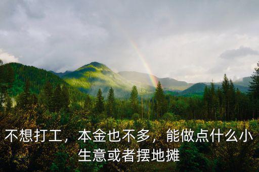 不想打工，本金也不多，能做點(diǎn)什么小生意或者擺地?cái)? class=