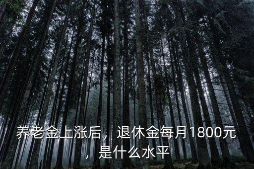 養(yǎng)老金上漲后，退休金每月1800元，是什么水平