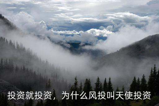 投資就投資，為什么風(fēng)投叫天使投資