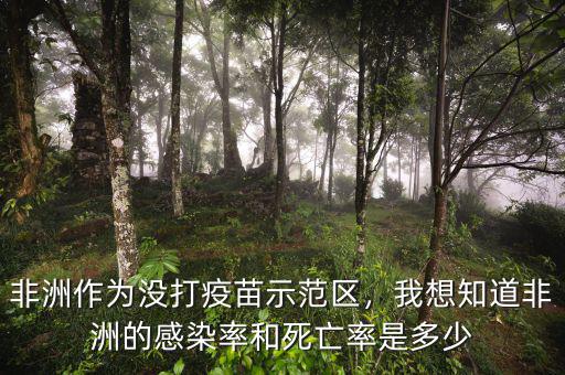 非洲作為沒打疫苗示范區(qū)，我想知道非洲的感染率和死亡率是多少
