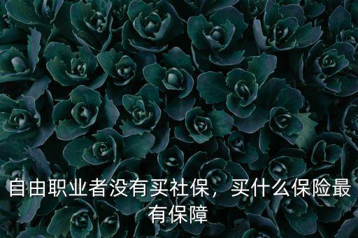 自由職業(yè)者沒(méi)有買社保，買什么保險(xiǎn)最有保障