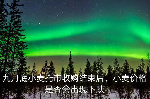 九月底小麥托市收購結(jié)束后，小麥價格是否會出現(xiàn)下跌