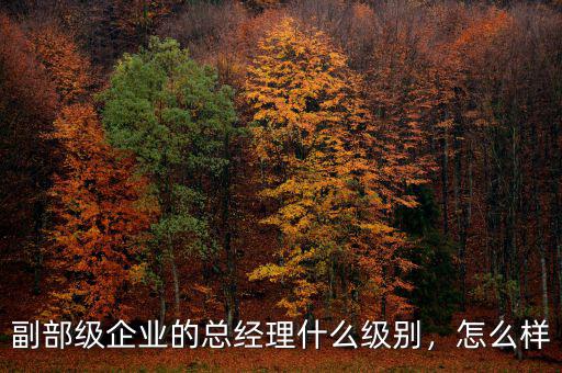副部級企業(yè)的總經(jīng)理什么級別，怎么樣