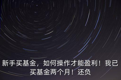 新手買基金，如何操作才能盈利！我已買基金兩個(gè)月！還負(fù)