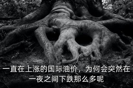 一直在上漲的國(guó)際油價(jià)，為何會(huì)突然在一夜之間下跌那么多呢