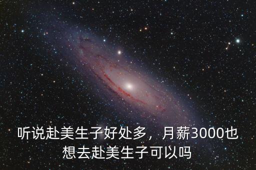 聽(tīng)說(shuō)赴美生子好處多，月薪3000也想去赴美生子可以嗎