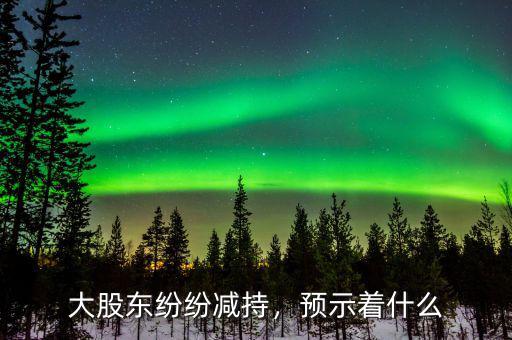 大股東紛紛減持，預示著什么