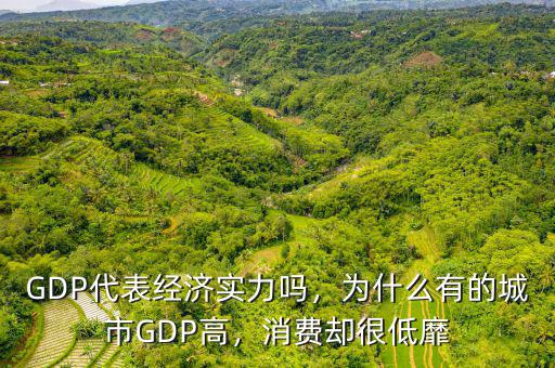 GDP代表經(jīng)濟(jì)實(shí)力嗎，為什么有的城市GDP高，消費(fèi)卻很低靡