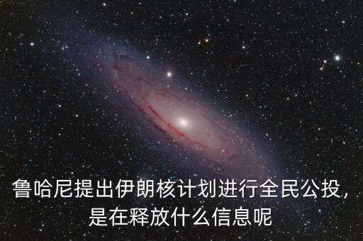 魯哈尼提出伊朗核計(jì)劃進(jìn)行全民公投，是在釋放什么信息呢