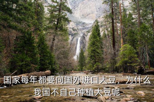 國家每年都要向國外進口大豆，為什么我國不自己種植大豆呢
