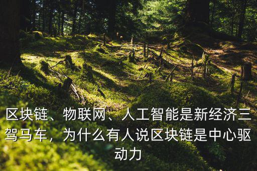 區(qū)塊鏈、物聯(lián)網(wǎng)、人工智能是新經(jīng)濟(jì)三駕馬車，為什么有人說區(qū)塊鏈?zhǔn)侵行尿?qū)動(dòng)力