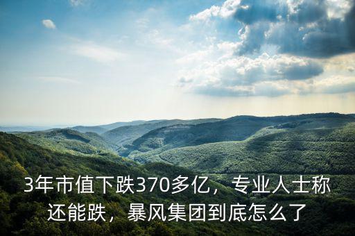 3年市值下跌370多億，專業(yè)人士稱還能跌，暴風(fēng)集團(tuán)到底怎么了