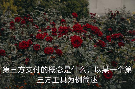 第三方支付的概念是什么，以某一個第三方工具為例簡述