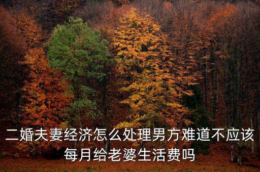 二婚夫妻經(jīng)濟怎么處理男方難道不應(yīng)該每月給老婆生活費嗎