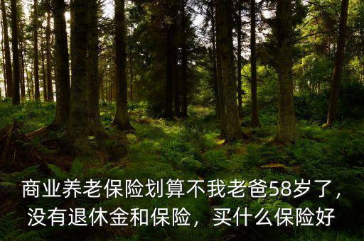 商業(yè)養(yǎng)老保險劃算不我老爸58歲了，沒有退休金和保險，買什么保險好